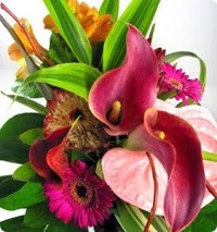Rainbow Zest Florist 1095339 Image 1